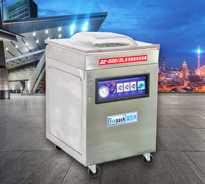 内抽式真空包装机 DZ5002L