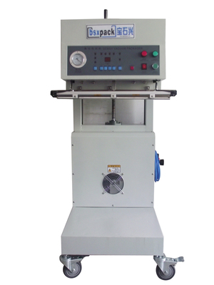 BSX-600L立式外抽真空包装机